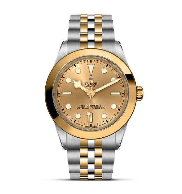 TD-M79663-0005 Tudor BLACK BAY 