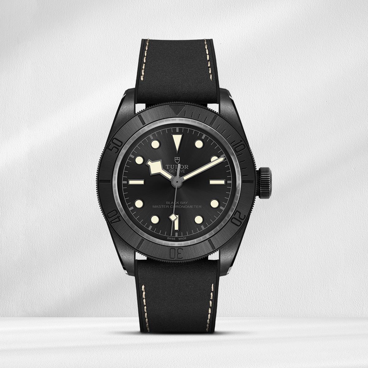 TD-M79210CNU-XXXX Tudor BLACK BAY 